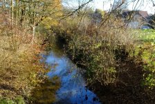 Herbst in Hattrop 2018